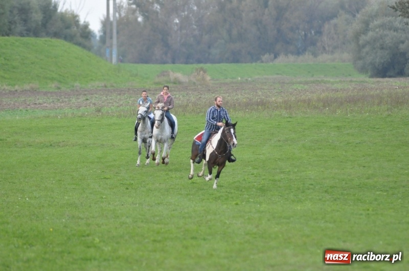 Zdjęcie w galerii na portalu naszraciborz.pl: Hubertus 2017. Adrian Krzemień złapał lisią kitę  wiadomości z regionu