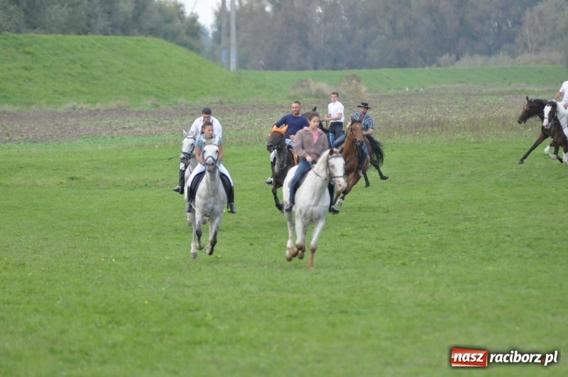 Zdjęcie w galerii na portalu naszraciborz.pl: Hubertus 2017. Adrian Krzemień złapał lisią kitę  wiadomości z regionu