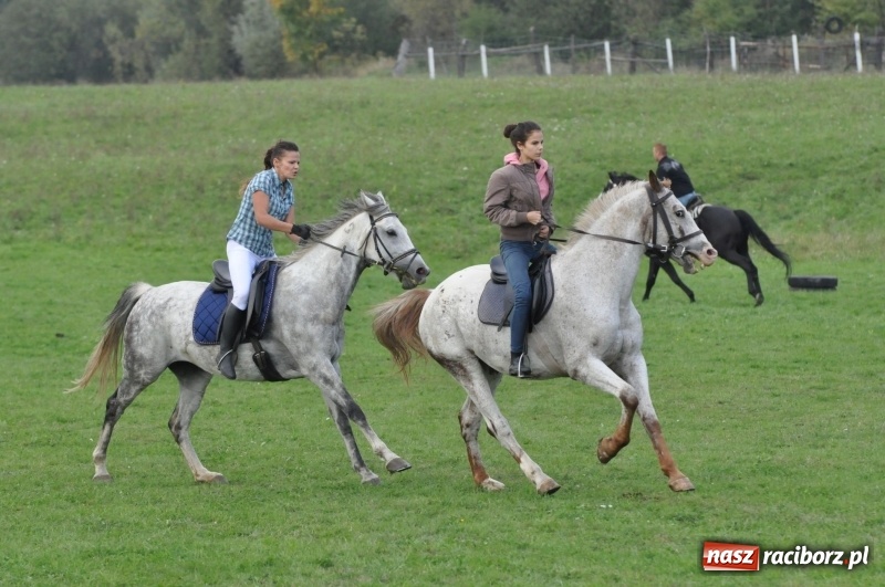 Zdjęcie w galerii na portalu naszraciborz.pl: Hubertus 2017. Adrian Krzemień złapał lisią kitę  wiadomości z regionu