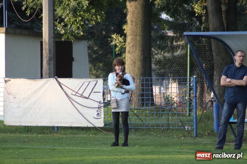 Zdjęcie w galerii na portalu naszraciborz.pl: Trampkarze KS Krzanowice rozgromili KS Naprzód Borucin  wiadomości z regionu