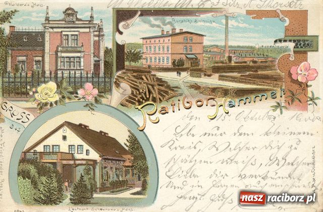 Zdjęcie w galerii na portalu naszraciborz.pl: Nasz piękny Śląsk na starych pocztówkach wiadomości z regionu