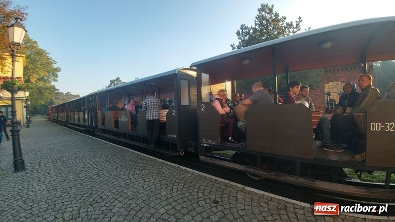 Zdjęcie w galerii na portalu naszraciborz.pl: Poznaliśmy najlepszych grzybiarzy Ziemi Raciborskiej wiadomości z regionu