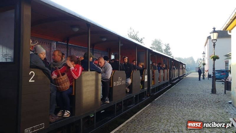 Zdjęcie w galerii na portalu naszraciborz.pl: Poznaliśmy najlepszych grzybiarzy Ziemi Raciborskiej wiadomości z regionu