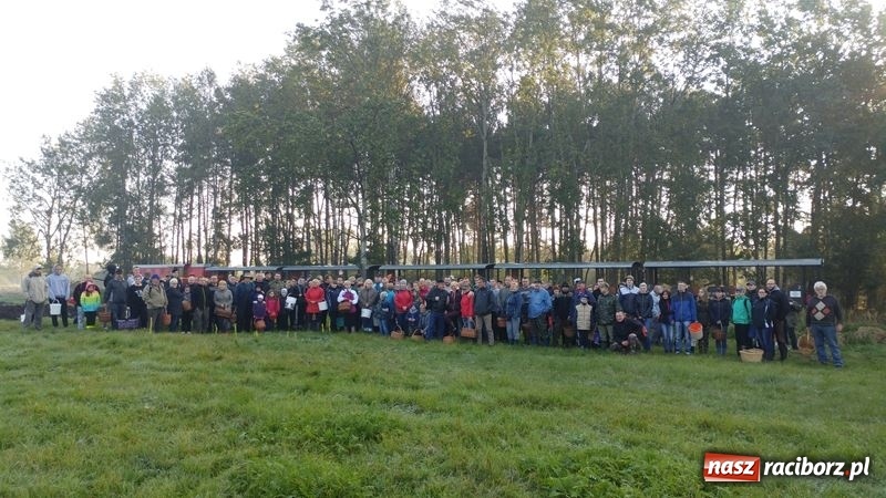 Zdjęcie w galerii na portalu naszraciborz.pl: Poznaliśmy najlepszych grzybiarzy Ziemi Raciborskiej wiadomości z regionu