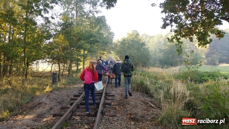 Zdjęcie w galerii na portalu naszraciborz.pl: Poznaliśmy najlepszych grzybiarzy Ziemi Raciborskiej wiadomości z regionu
