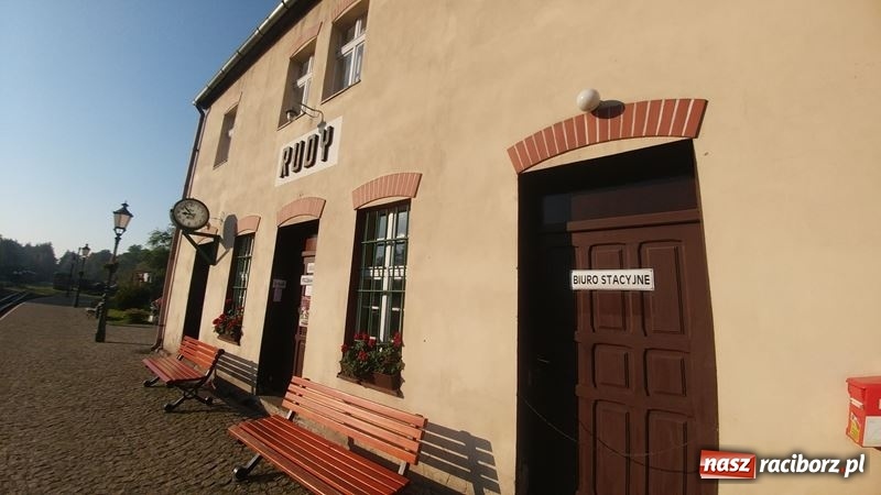 Zdjęcie w galerii na portalu naszraciborz.pl: Poznaliśmy najlepszych grzybiarzy Ziemi Raciborskiej wiadomości z regionu