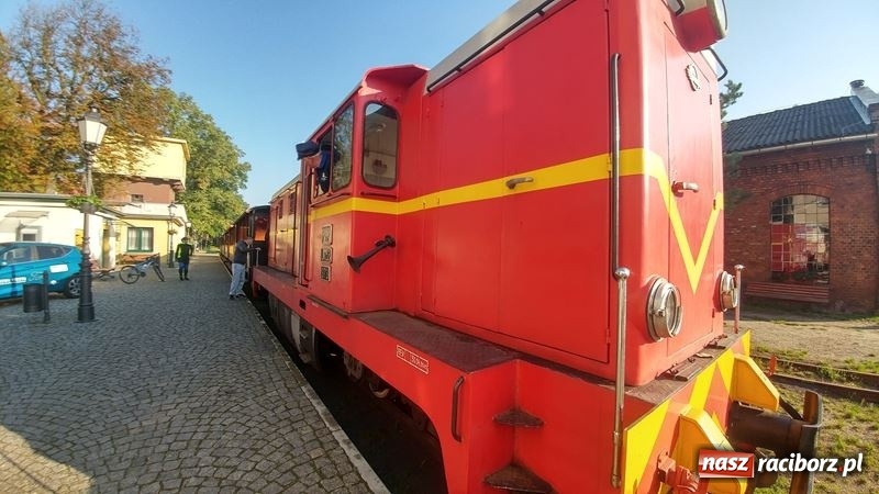 Zdjęcie w galerii na portalu naszraciborz.pl: Poznaliśmy najlepszych grzybiarzy Ziemi Raciborskiej wiadomości z regionu