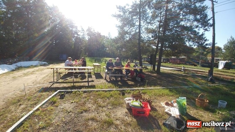Zdjęcie w galerii na portalu naszraciborz.pl: Poznaliśmy najlepszych grzybiarzy Ziemi Raciborskiej wiadomości z regionu