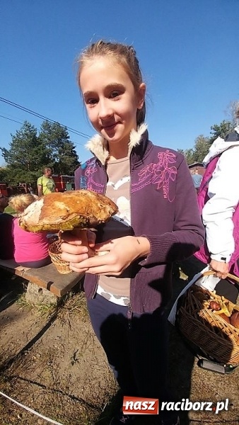 Zdjęcie w galerii na portalu naszraciborz.pl: Poznaliśmy najlepszych grzybiarzy Ziemi Raciborskiej wiadomości z regionu