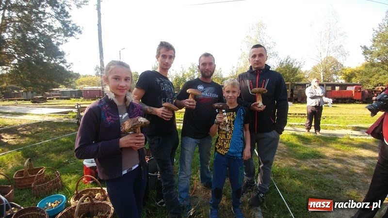 Zdjęcie w galerii na portalu naszraciborz.pl: Poznaliśmy najlepszych grzybiarzy Ziemi Raciborskiej wiadomości z regionu