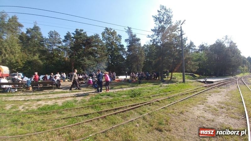 Zdjęcie w galerii na portalu naszraciborz.pl: Poznaliśmy najlepszych grzybiarzy Ziemi Raciborskiej wiadomości z regionu