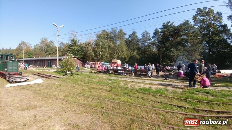 Zdjęcie w galerii na portalu naszraciborz.pl: Poznaliśmy najlepszych grzybiarzy Ziemi Raciborskiej wiadomości z regionu