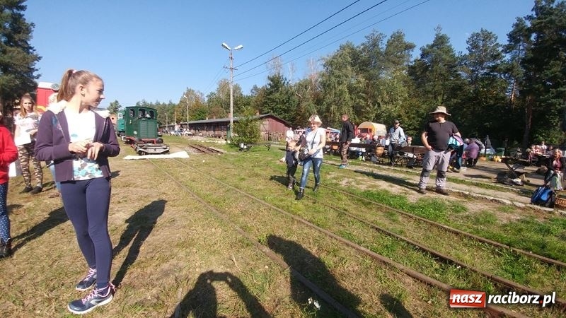 Zdjęcie w galerii na portalu naszraciborz.pl: Poznaliśmy najlepszych grzybiarzy Ziemi Raciborskiej wiadomości z regionu
