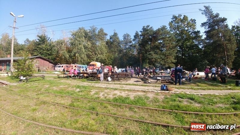 Zdjęcie w galerii na portalu naszraciborz.pl: Poznaliśmy najlepszych grzybiarzy Ziemi Raciborskiej wiadomości z regionu