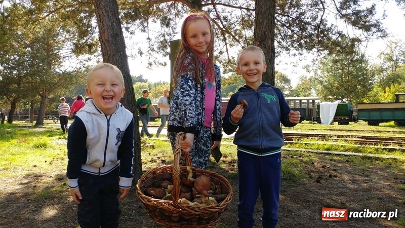 Zdjęcie w galerii na portalu naszraciborz.pl: Poznaliśmy najlepszych grzybiarzy Ziemi Raciborskiej wiadomości z regionu