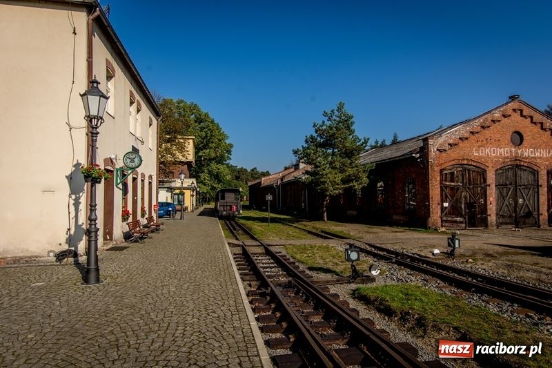 Zdjęcie w galerii na portalu naszraciborz.pl: Poznaliśmy najlepszych grzybiarzy Ziemi Raciborskiej wiadomości z regionu