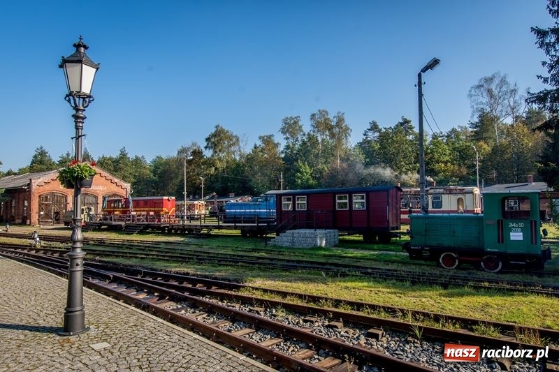 Zdjęcie w galerii na portalu naszraciborz.pl: Poznaliśmy najlepszych grzybiarzy Ziemi Raciborskiej wiadomości z regionu