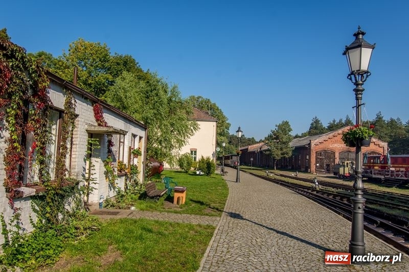 Zdjęcie w galerii na portalu naszraciborz.pl: Poznaliśmy najlepszych grzybiarzy Ziemi Raciborskiej wiadomości z regionu