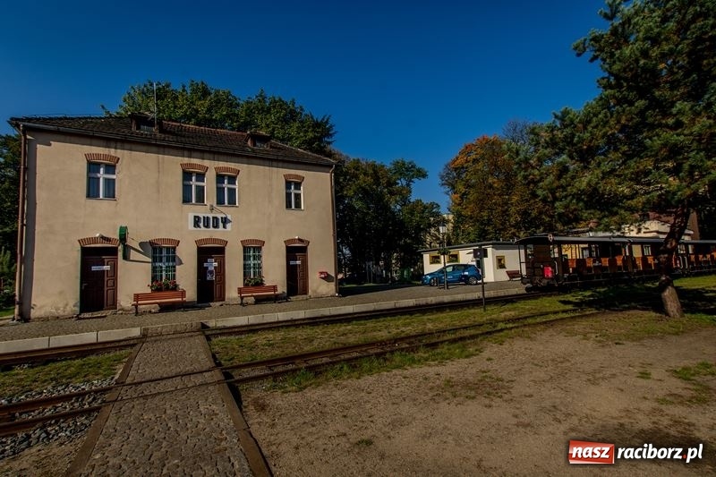 Zdjęcie w galerii na portalu naszraciborz.pl: Poznaliśmy najlepszych grzybiarzy Ziemi Raciborskiej wiadomości z regionu