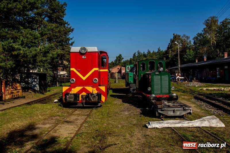 Zdjęcie w galerii na portalu naszraciborz.pl: Poznaliśmy najlepszych grzybiarzy Ziemi Raciborskiej wiadomości z regionu