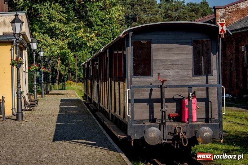 Zdjęcie w galerii na portalu naszraciborz.pl: Poznaliśmy najlepszych grzybiarzy Ziemi Raciborskiej wiadomości z regionu