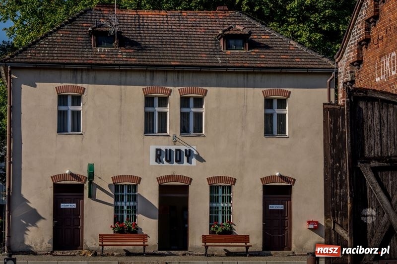 Zdjęcie w galerii na portalu naszraciborz.pl: Poznaliśmy najlepszych grzybiarzy Ziemi Raciborskiej wiadomości z regionu