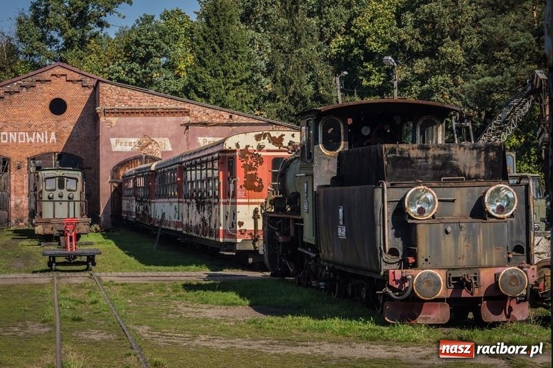 Zdjęcie w galerii na portalu naszraciborz.pl: Poznaliśmy najlepszych grzybiarzy Ziemi Raciborskiej wiadomości z regionu