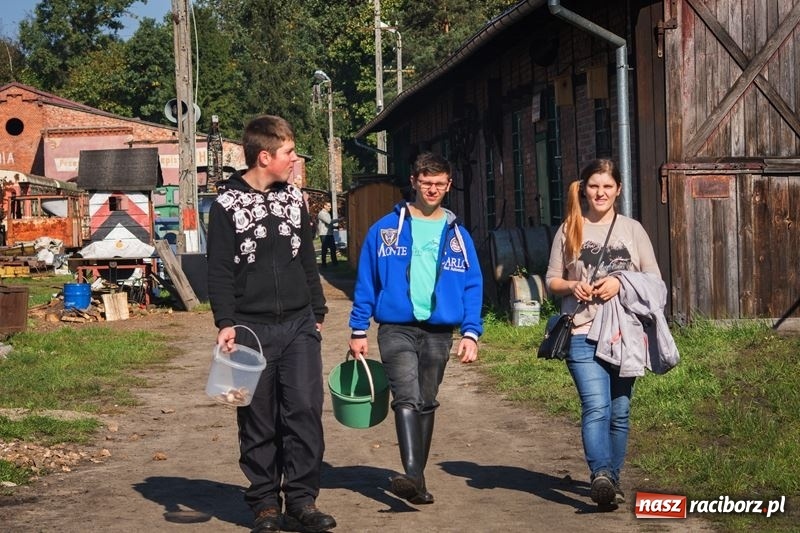 Zdjęcie w galerii na portalu naszraciborz.pl: Poznaliśmy najlepszych grzybiarzy Ziemi Raciborskiej wiadomości z regionu
