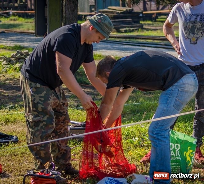 Zdjęcie w galerii na portalu naszraciborz.pl: Poznaliśmy najlepszych grzybiarzy Ziemi Raciborskiej wiadomości z regionu