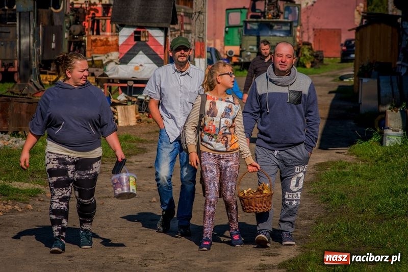 Zdjęcie w galerii na portalu naszraciborz.pl: Poznaliśmy najlepszych grzybiarzy Ziemi Raciborskiej wiadomości z regionu