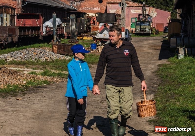 Zdjęcie w galerii na portalu naszraciborz.pl: Poznaliśmy najlepszych grzybiarzy Ziemi Raciborskiej wiadomości z regionu