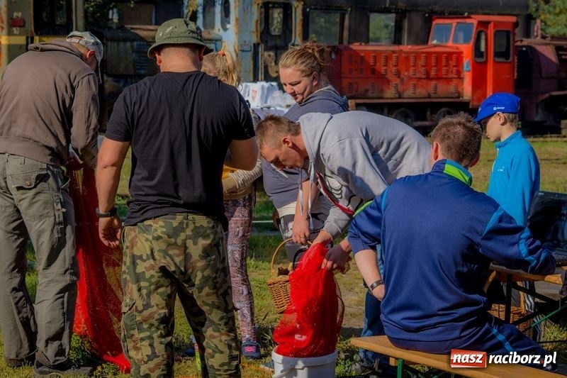 Zdjęcie w galerii na portalu naszraciborz.pl: Poznaliśmy najlepszych grzybiarzy Ziemi Raciborskiej wiadomości z regionu