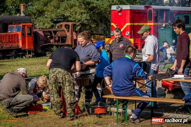 Zdjęcie w galerii na portalu naszraciborz.pl: Poznaliśmy najlepszych grzybiarzy Ziemi Raciborskiej wiadomości z regionu