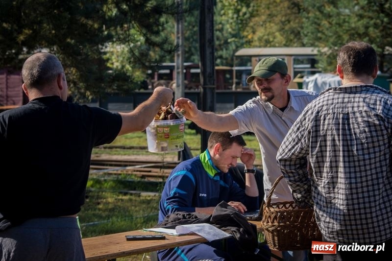 Zdjęcie w galerii na portalu naszraciborz.pl: Poznaliśmy najlepszych grzybiarzy Ziemi Raciborskiej wiadomości z regionu