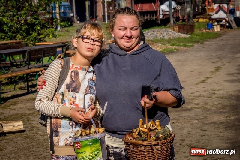 Zdjęcie w galerii na portalu naszraciborz.pl: Poznaliśmy najlepszych grzybiarzy Ziemi Raciborskiej wiadomości z regionu