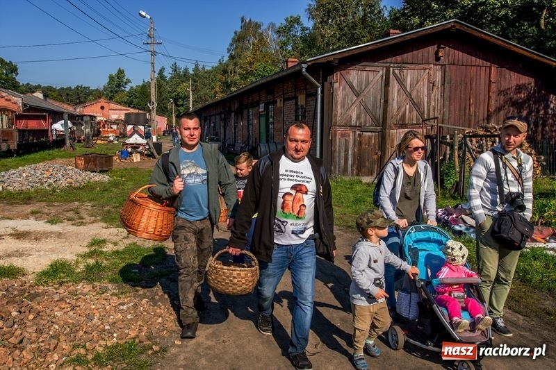 Zdjęcie w galerii na portalu naszraciborz.pl: Poznaliśmy najlepszych grzybiarzy Ziemi Raciborskiej wiadomości z regionu