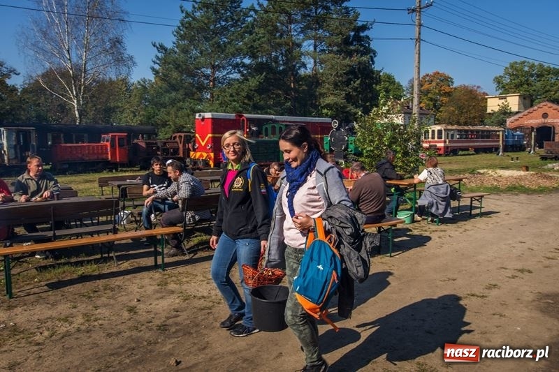 Zdjęcie w galerii na portalu naszraciborz.pl: Poznaliśmy najlepszych grzybiarzy Ziemi Raciborskiej wiadomości z regionu
