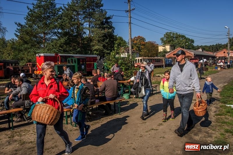 Zdjęcie w galerii na portalu naszraciborz.pl: Poznaliśmy najlepszych grzybiarzy Ziemi Raciborskiej wiadomości z regionu