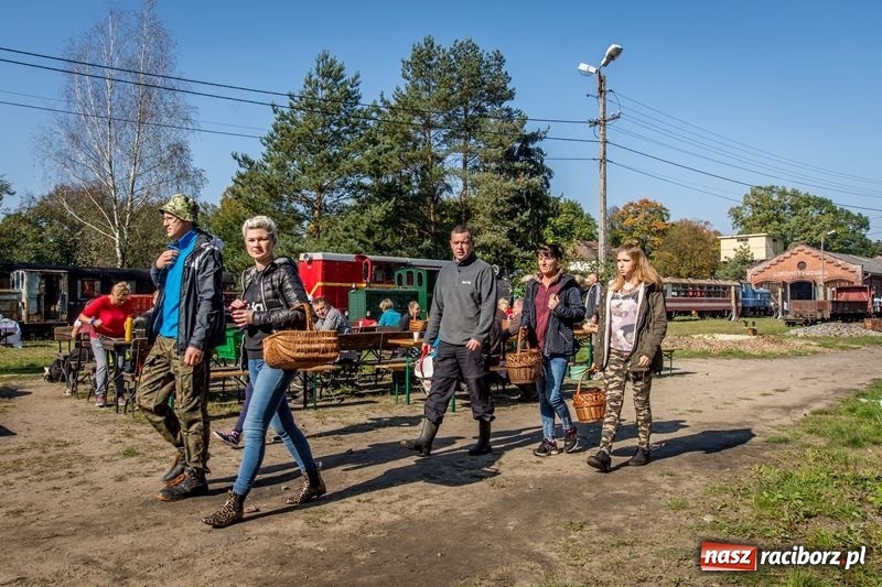 Zdjęcie w galerii na portalu naszraciborz.pl: Poznaliśmy najlepszych grzybiarzy Ziemi Raciborskiej wiadomości z regionu