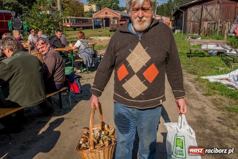 Zdjęcie w galerii na portalu naszraciborz.pl: Poznaliśmy najlepszych grzybiarzy Ziemi Raciborskiej wiadomości z regionu