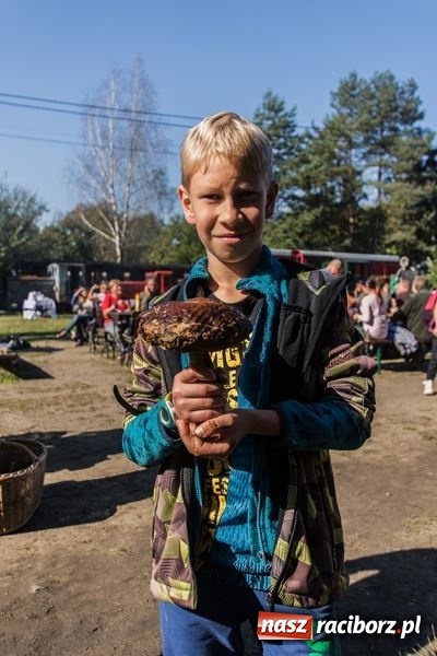 Zdjęcie w galerii na portalu naszraciborz.pl: Poznaliśmy najlepszych grzybiarzy Ziemi Raciborskiej wiadomości z regionu