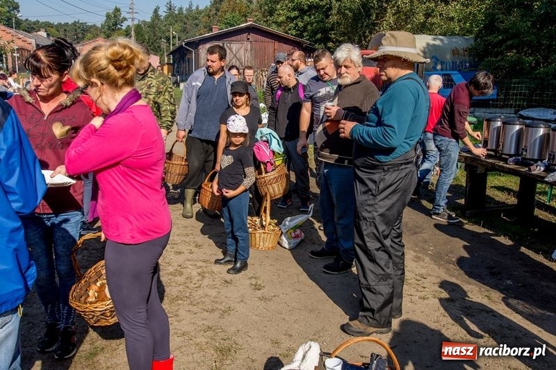 Zdjęcie w galerii na portalu naszraciborz.pl: Poznaliśmy najlepszych grzybiarzy Ziemi Raciborskiej wiadomości z regionu