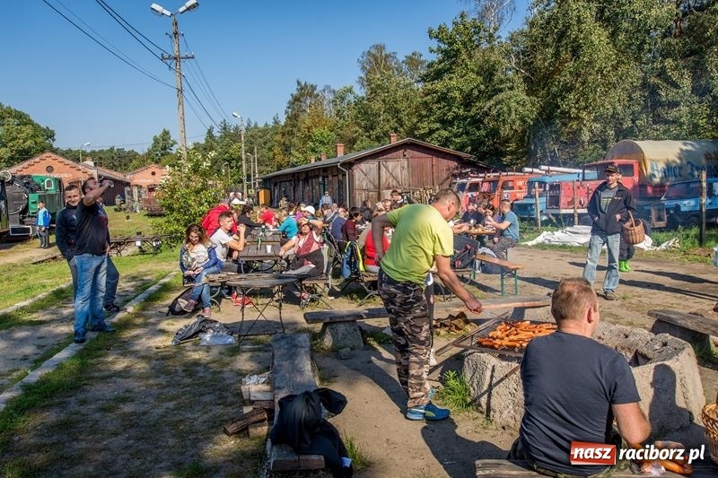 Zdjęcie w galerii na portalu naszraciborz.pl: Poznaliśmy najlepszych grzybiarzy Ziemi Raciborskiej wiadomości z regionu