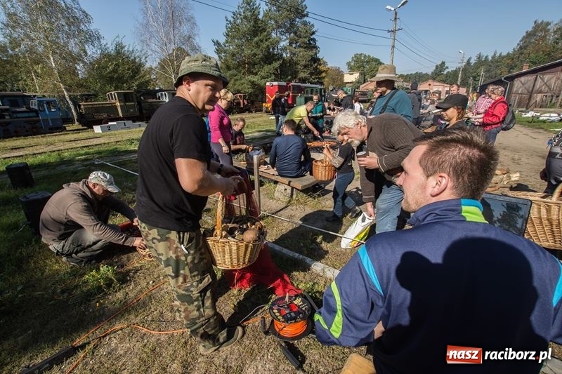 Zdjęcie w galerii na portalu naszraciborz.pl: Poznaliśmy najlepszych grzybiarzy Ziemi Raciborskiej wiadomości z regionu