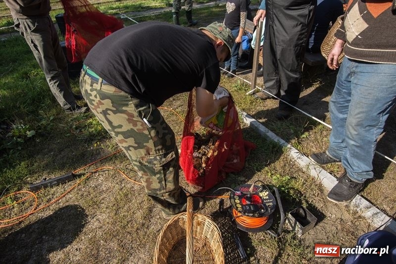 Zdjęcie w galerii na portalu naszraciborz.pl: Poznaliśmy najlepszych grzybiarzy Ziemi Raciborskiej wiadomości z regionu