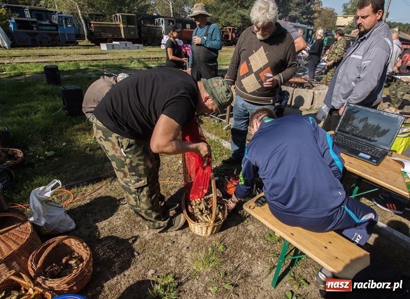 Zdjęcie w galerii na portalu naszraciborz.pl: Poznaliśmy najlepszych grzybiarzy Ziemi Raciborskiej wiadomości z regionu
