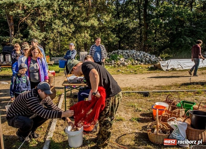 Zdjęcie w galerii na portalu naszraciborz.pl: Poznaliśmy najlepszych grzybiarzy Ziemi Raciborskiej wiadomości z regionu