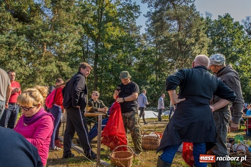 Zdjęcie w galerii na portalu naszraciborz.pl: Poznaliśmy najlepszych grzybiarzy Ziemi Raciborskiej wiadomości z regionu