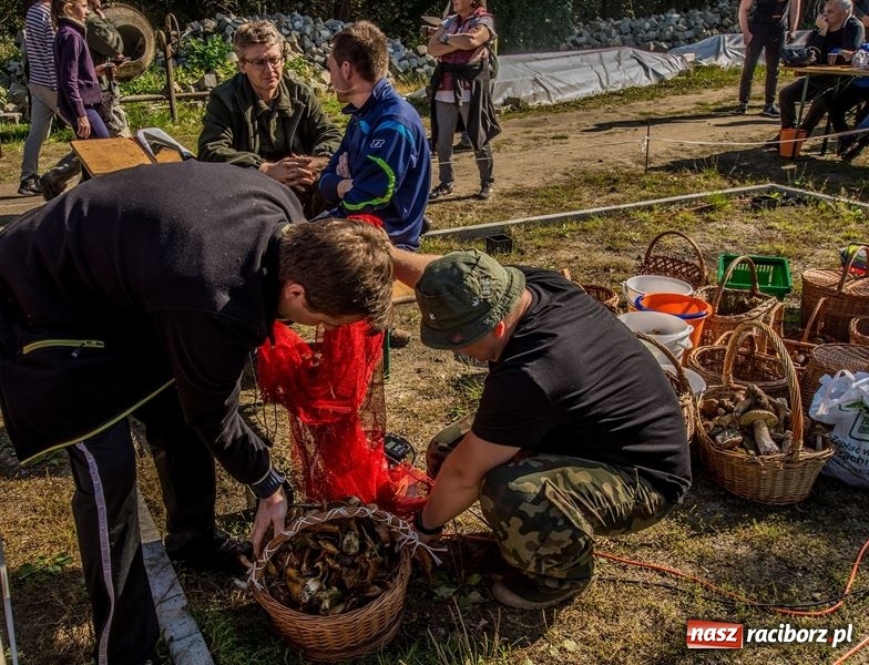 Zdjęcie w galerii na portalu naszraciborz.pl: Poznaliśmy najlepszych grzybiarzy Ziemi Raciborskiej wiadomości z regionu