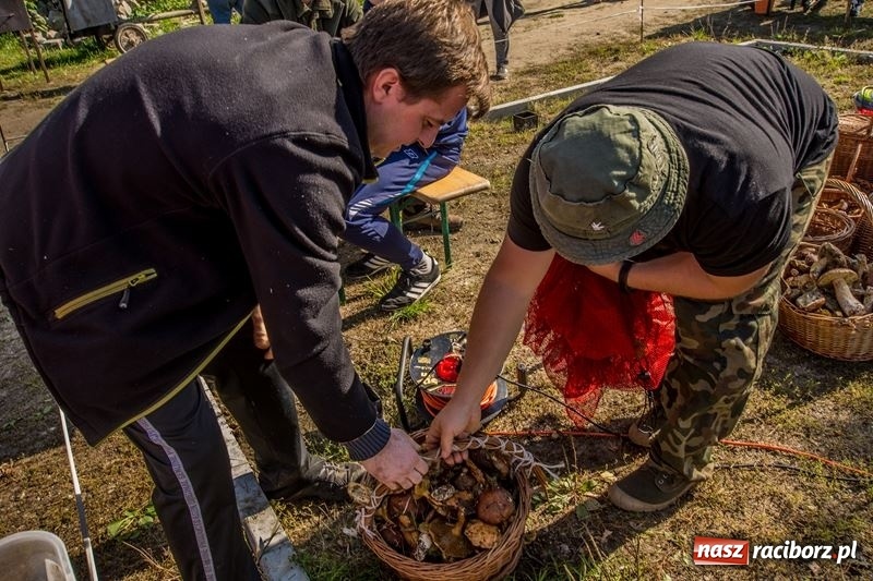Zdjęcie w galerii na portalu naszraciborz.pl: Poznaliśmy najlepszych grzybiarzy Ziemi Raciborskiej wiadomości z regionu
